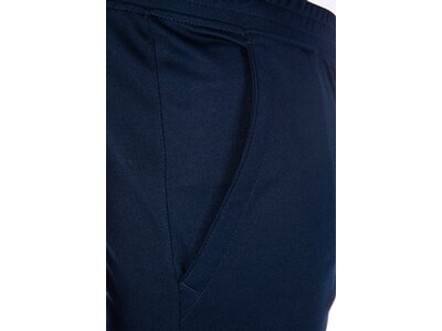 LINEA PRIMERO Herren Kombihose Blau
