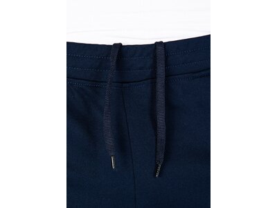 LINEA PRIMERO Herren Kombihose Blau