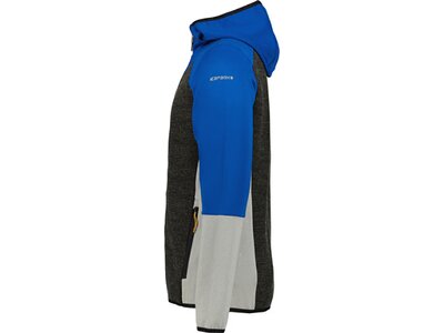 ICEPEAK Herren Kapuzensweat BECLEY Blau