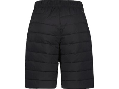 ICEPEAK Herren Shorts DORRANCE Schwarz