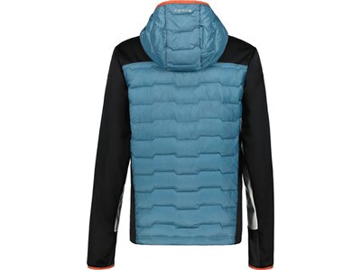 ICEPEAK Herren Funktionsjacke BYHALIA Grün