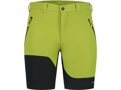 ICEPEAK Herren Shorts BATAVIA Grün