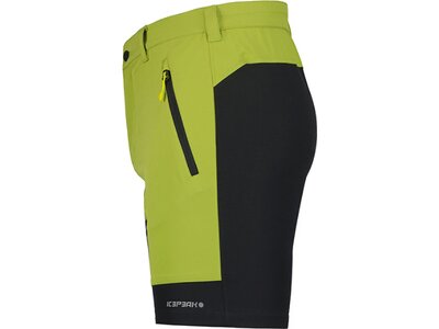 ICEPEAK Herren Shorts BATAVIA Grün