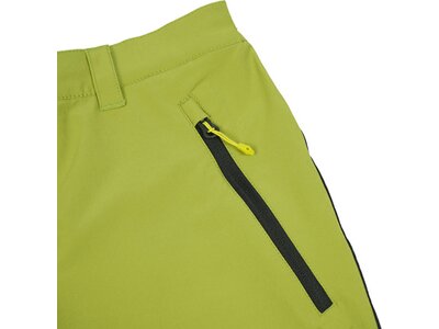 ICEPEAK Herren Shorts BATAVIA Grün