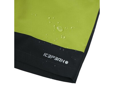 ICEPEAK Herren Shorts BATAVIA Grün