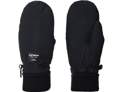 ICEPEAK Damen Handschuhe HAYINGEN Schwarz