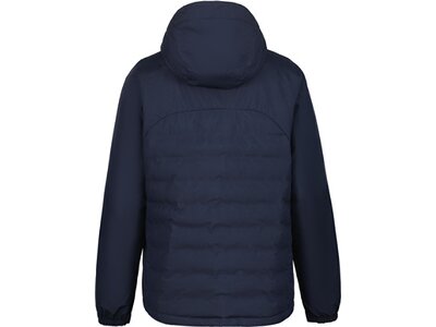 ICEPEAK Herren Jacke BARWICK Blau