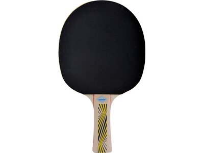 DONIC SCHILDKRÖT Tischtennisschläger LEGENDS 500 FSC Braun