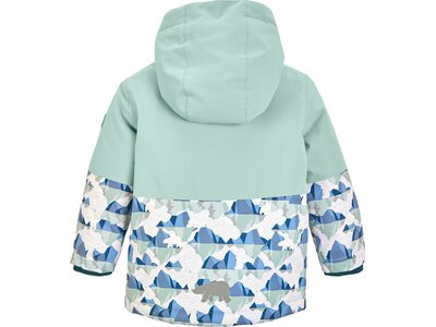 Kinder Funktionsjacke FISW 39 MNS SKI JCKT Grün