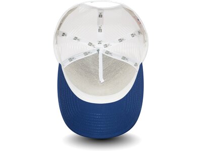 NEW ERA Herren CLEAN TRUCKER LOSDOD LRYWHI Grau