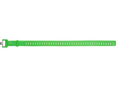 BLACK DIAMOND SKI STRAP 20in Grün