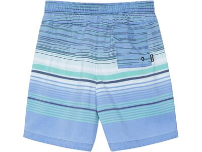 CHIEMSEE Badeshorts knielang Blau