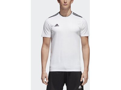 ADIDAS Herren Condivo 18 Trikot Grau