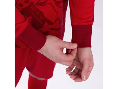 JAKO Herren Torwarttrikot TW-Trikot Tropicana Rot
