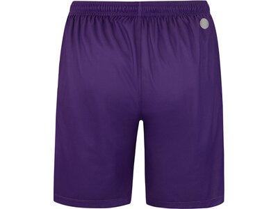 JAKO Herren Fanhose VfB TW Short Away Lila