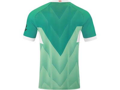 JAKO Herren Fantrikot VfB TW Trikot Home Blau