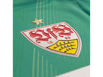 JAKO Herren Fantrikot VfB TW Trikot Home Blau