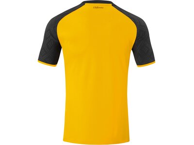 JAKO Herren Fantrikot Dynamo Dresden Trikot Home Gold