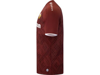 JAKO Herren Fantrikot Dynamo Dresden Trikot Ausweich Rot