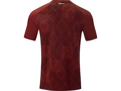 JAKO Herren Fantrikot Dynamo Dresden Trikot Ausweich Rot
