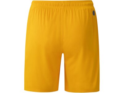 JAKO Herren Fanhose Dynamo Dresden Short Away Braun