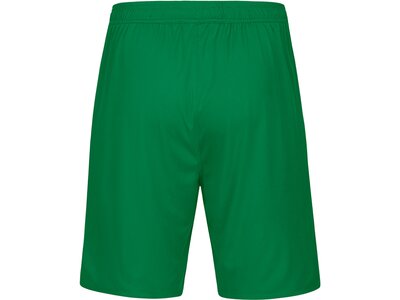JAKO Herren Fanhose Dynamo Dresden TW Home Grün