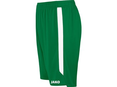 JAKO Herren Fanhose Dynamo Dresden TW Home Grün
