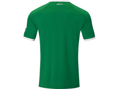 JAKO Herren Fantrikot Dynamo Dresden TW Home Grün