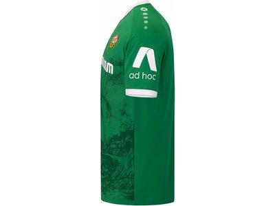 JAKO Herren Fantrikot Dynamo Dresden TW Home Grün