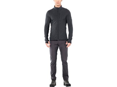 ICEBREAKER Herren Fleecejacke "Descender Long Sleeve Zip" Grau