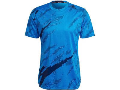 ADIDAS Herren T-Shirt Blau