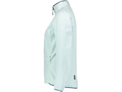 JACK WOLFSKIN Damen Softshelljacke "Sky Point" Grün