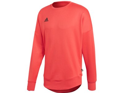 ADIDAS Lifestyle - Textilien - Sweatshirts Tango Terry Jersey Sweatshirt Orange