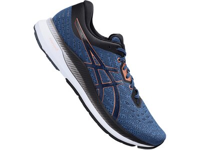 ASICS Herren Laufschuhe EvoRide Silber