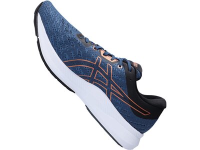 ASICS Herren Laufschuhe EvoRide Silber