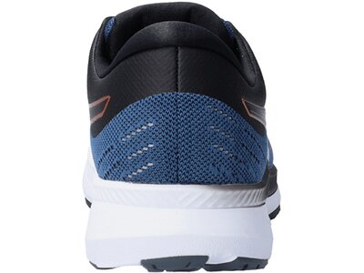ASICS Herren Laufschuhe EvoRide Silber
