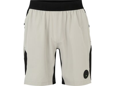 CLN ATHLETICS Herren Shorts Shorts Energy Silber