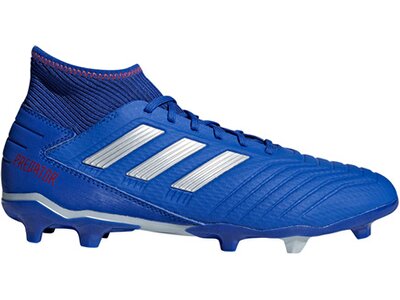 Adidas Herren Fussballschuhe Rasen Predator 19 3 Fg Online Kaufen Bei Intersport