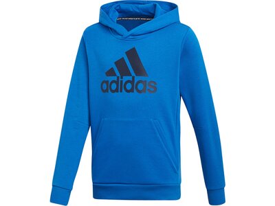 Adidas Jungen Sweatshirt Bos Hoodie Online Kaufen Bei Intersport