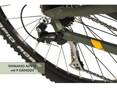 ADORE E-Bike E-Mountainbike 29'' Adore Santoro Grün