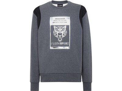 PLEIN SPORT Herren Sweatshirt TIGER Grau