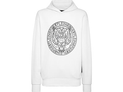 PLEIN SPORT Herren Kapuzensweat TIGER Grau