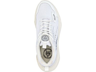 PLEIN SPORT Herren Halbschuhe TIGER SCRATCH Grau