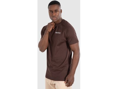 SMILODOX Herren Shirt Erwin Braun