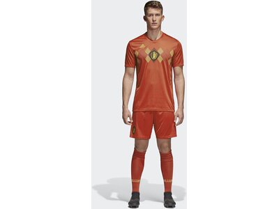 ADIDAS Herren Belgien Heimtrikot online kaufen bei INTERSPORT!