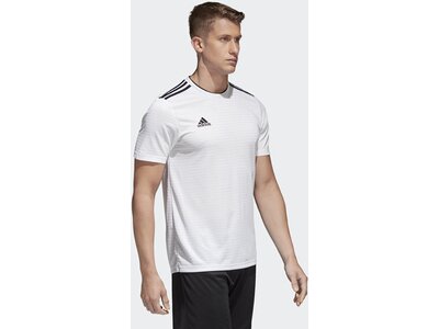 ADIDAS Herren Condivo 18 Trikot Grau