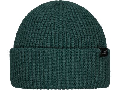 BARTS Herren Mütze Dervali Beanie Grün