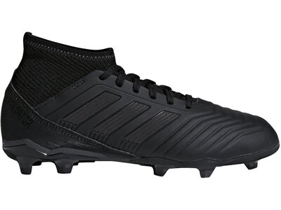 Adidas Kinder Fussballschuhe Predator 18 3 Fg Online Kaufen Bei Intersport