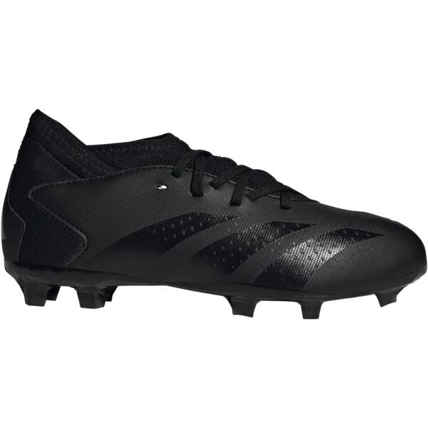 Rasen Fussballschuhe kaufen im Onlineshop von INTERSPORT
