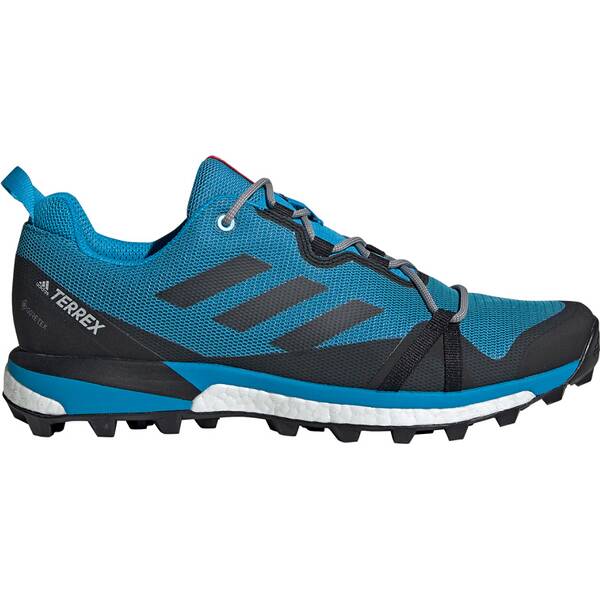 ADIDAS Herren TERREX Skychaser LT GTX Schuh online kaufen ...